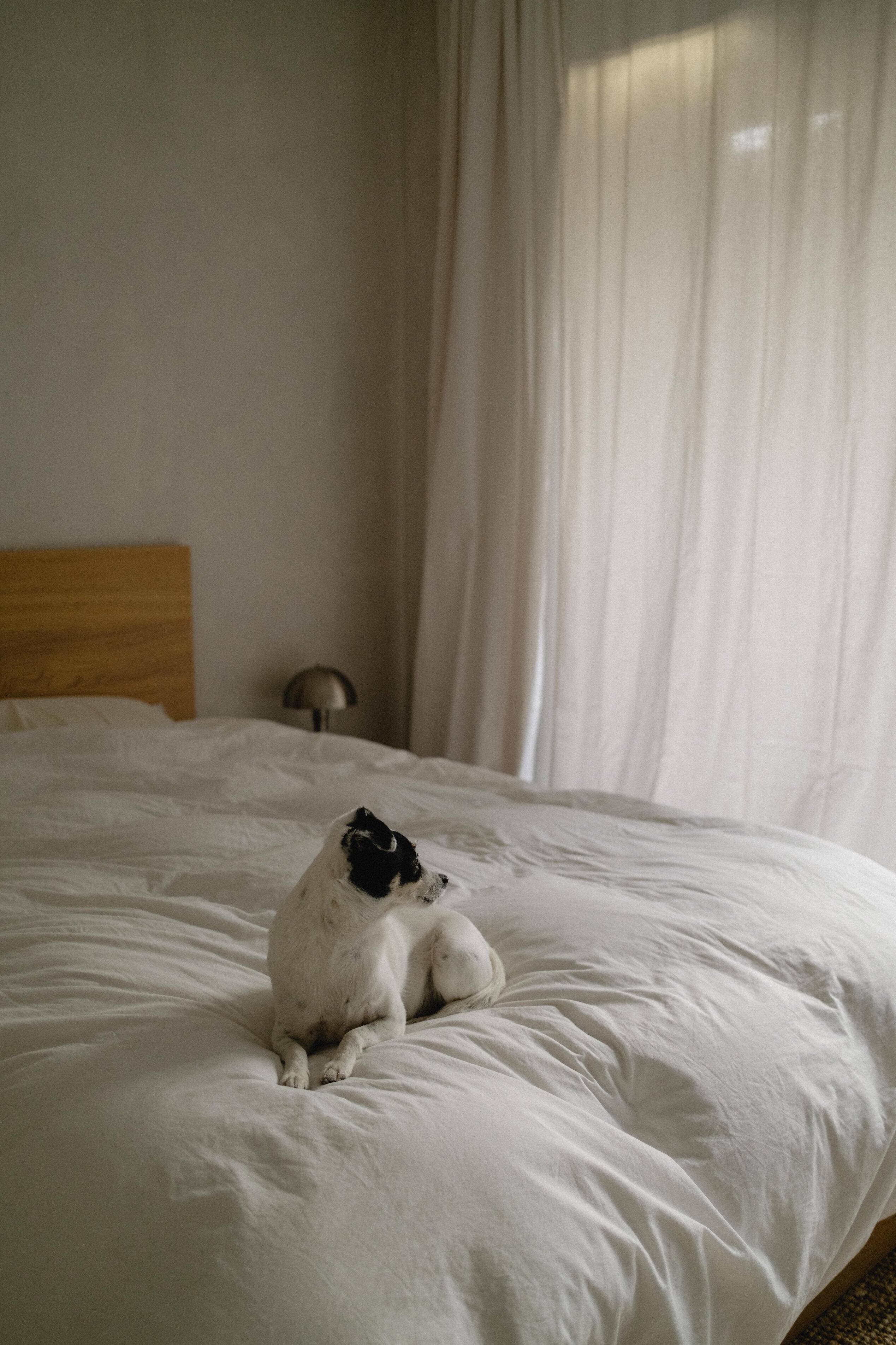 The hidden chemistry of textile finishes: what’s on your bedding and why it matters