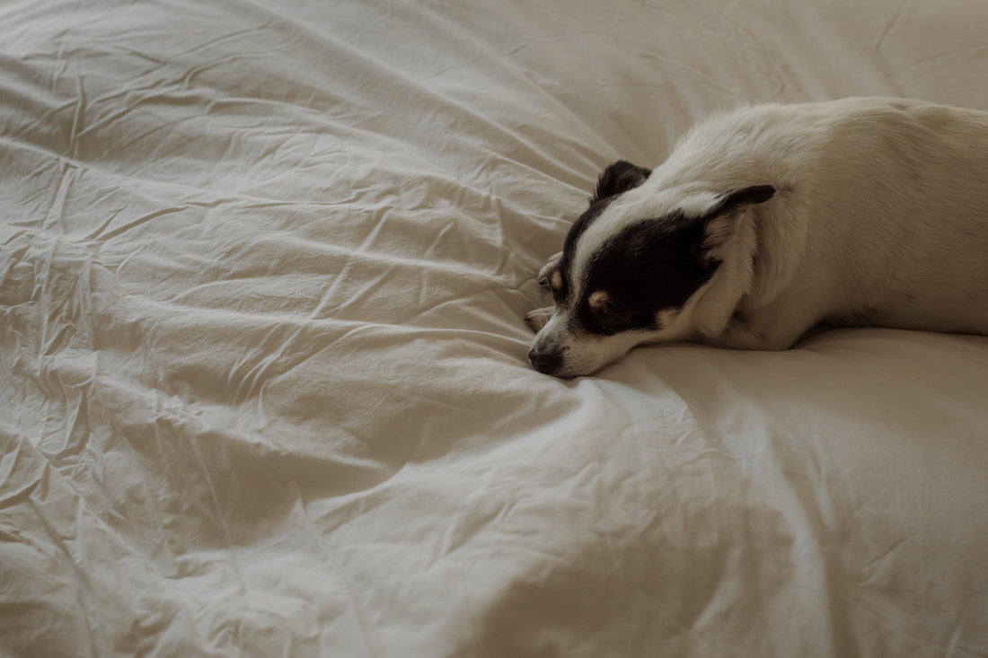 How Bedding Materials Affect Breathing, Skin and Sleep Quality