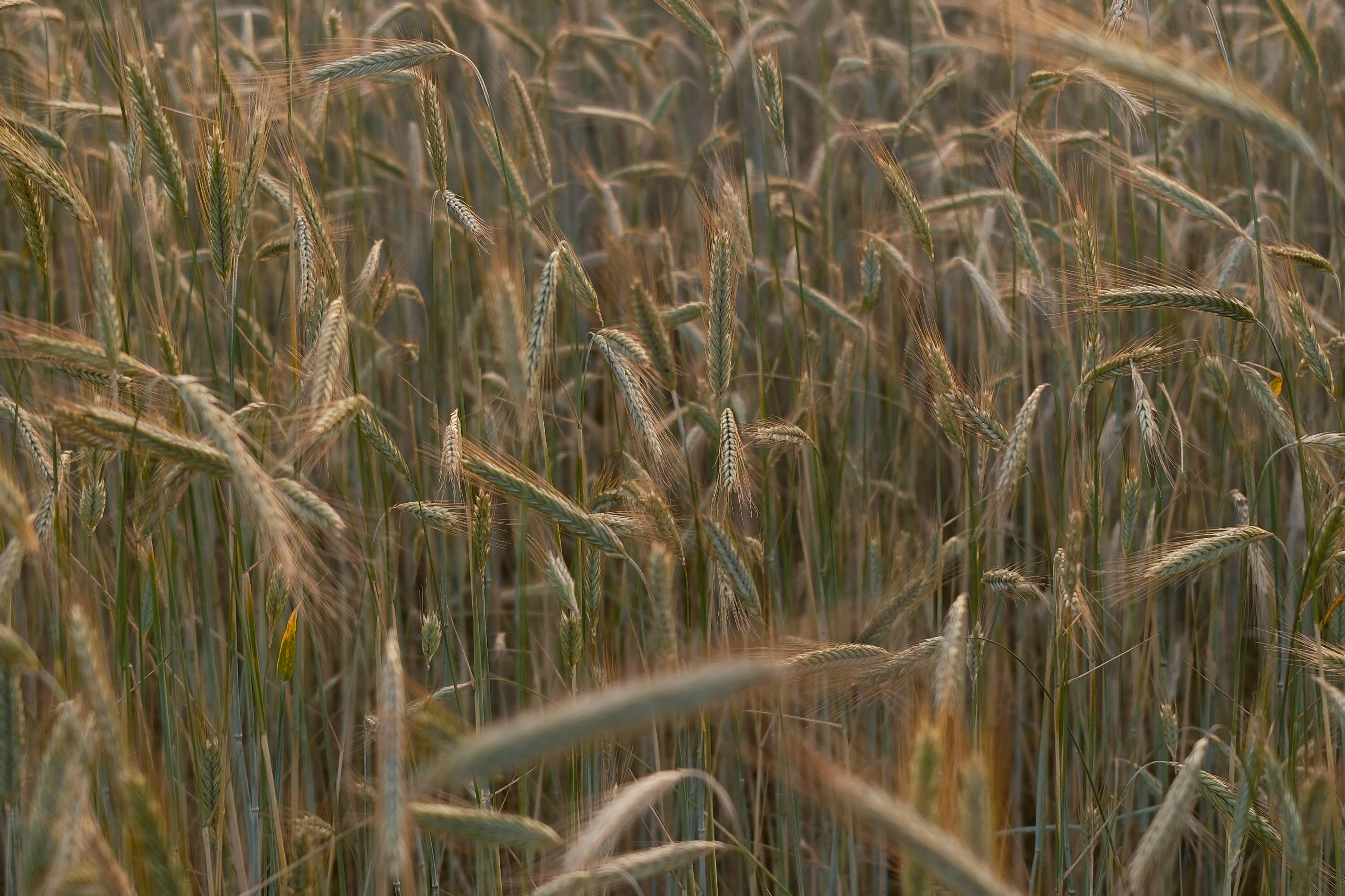 Why One Eighty exists: the journey to a more conscious life